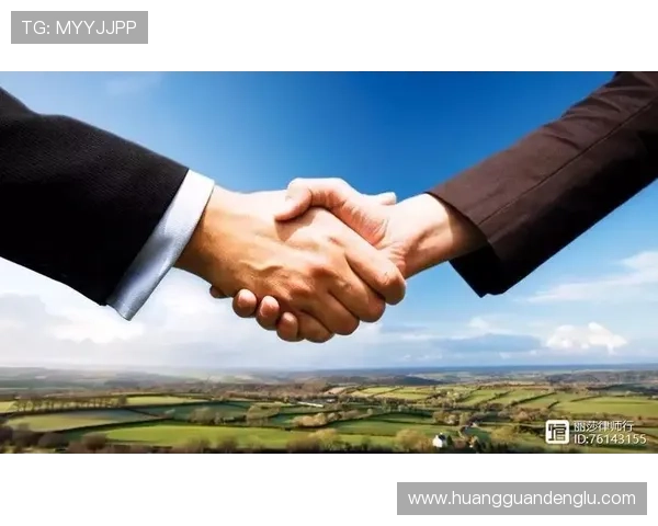 利用皇冠信用网进行信用风险评估的实用技巧及常见误区解析